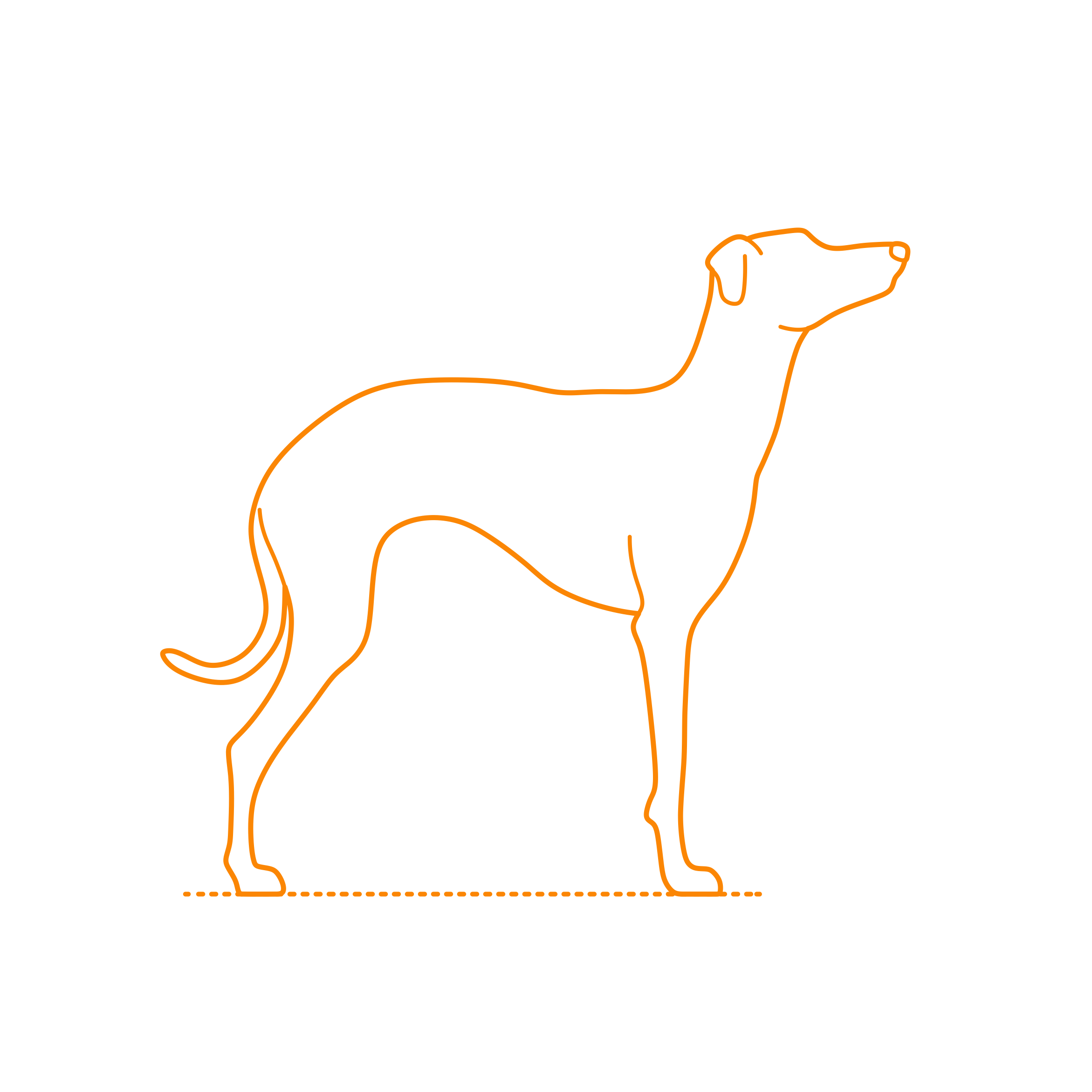 Animals Dogs Italian Greyhound Laser Cut Svg File Free Vectors